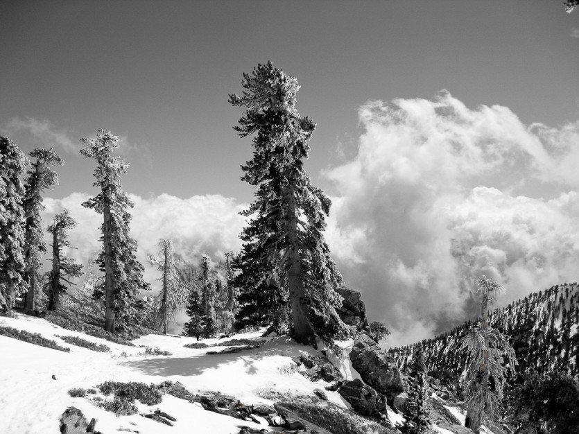 120401-02-2.jpg