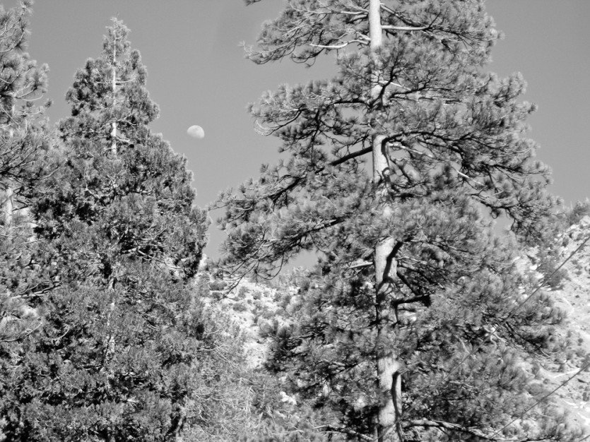 120401-07-2.jpg