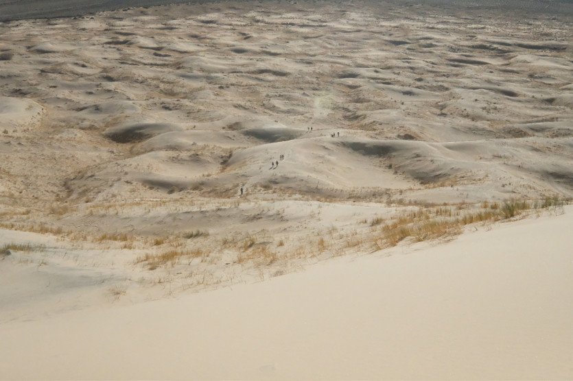 DSCF5116.JPG