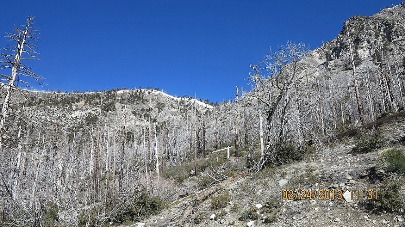 IMG_2651.JPG
