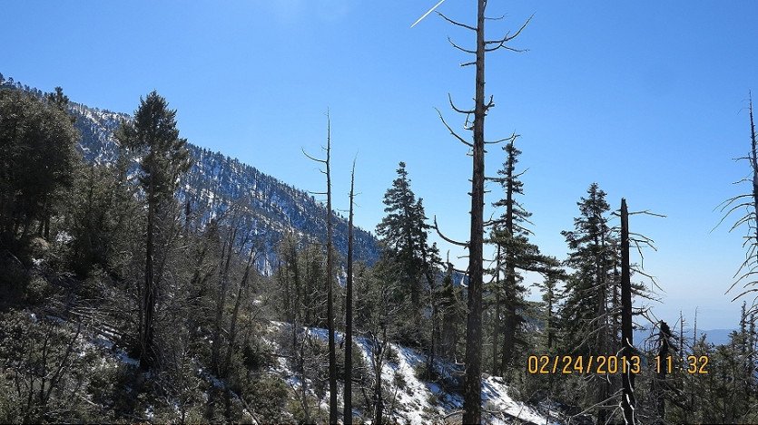 IMG_2654.JPG