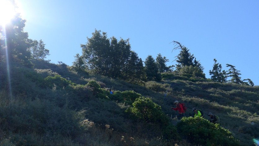 L1110441.JPG