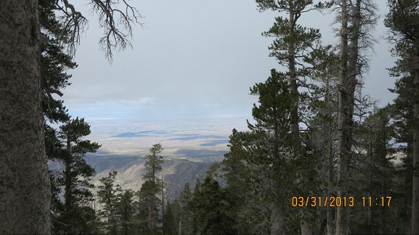 IMG_2822.JPG
