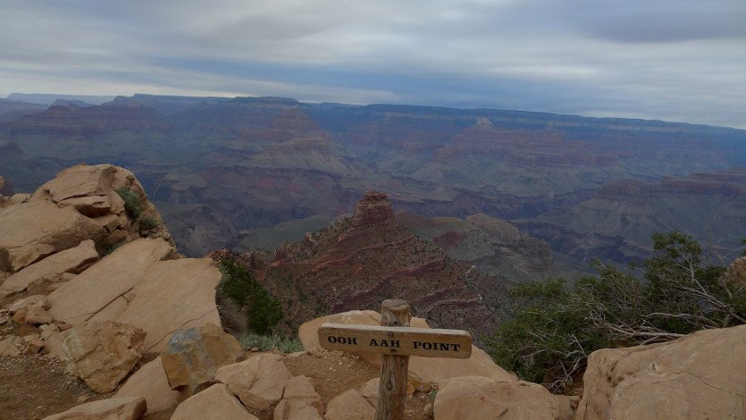 L1100605.JPG