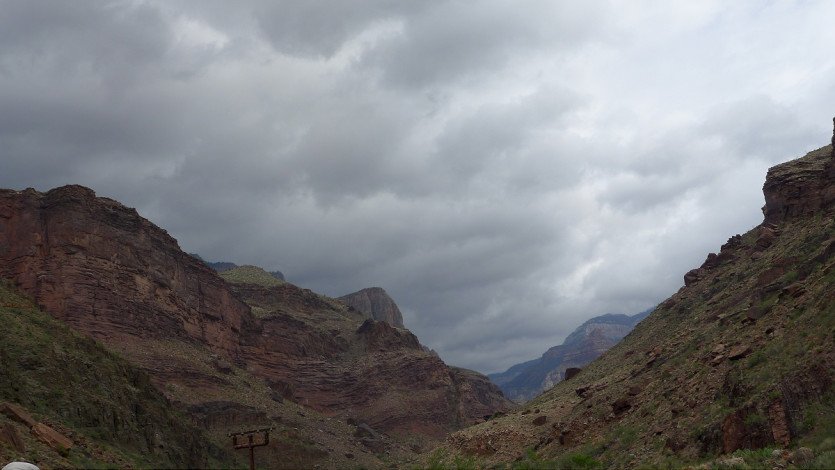 L1100590.JPG