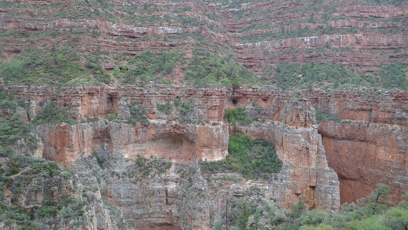 L1100571.JPG
