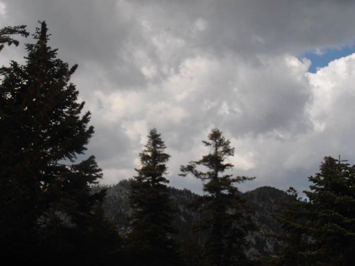 T 025.jpg