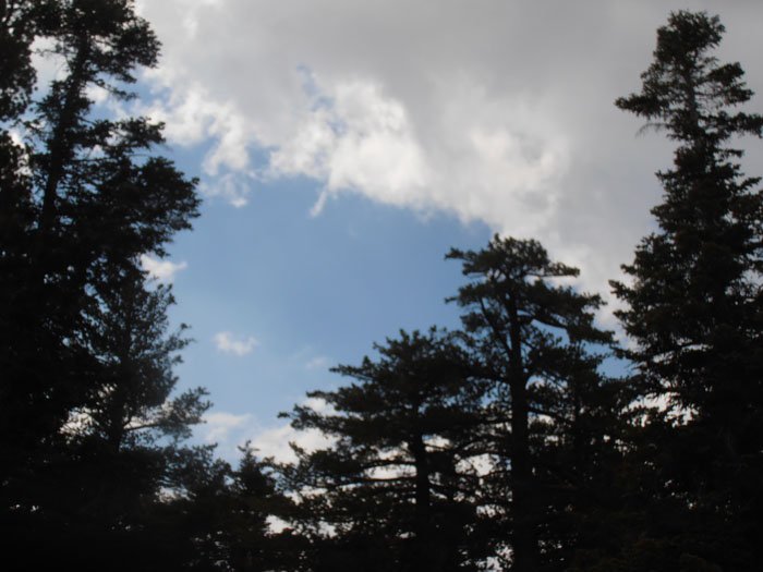 T 026.jpg