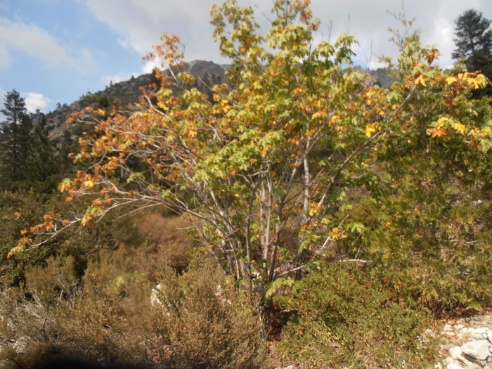 T 046.jpg