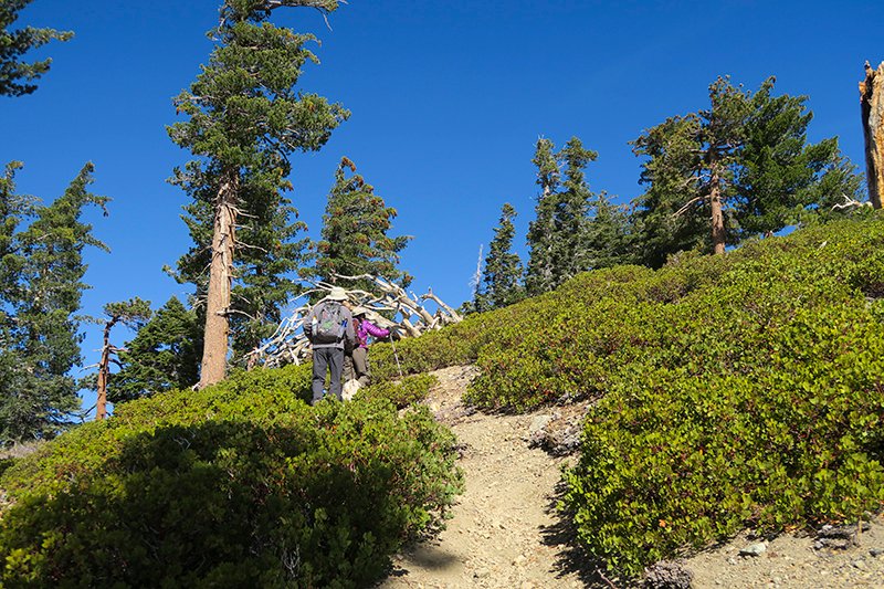 TimberCIMG_0053.jpg