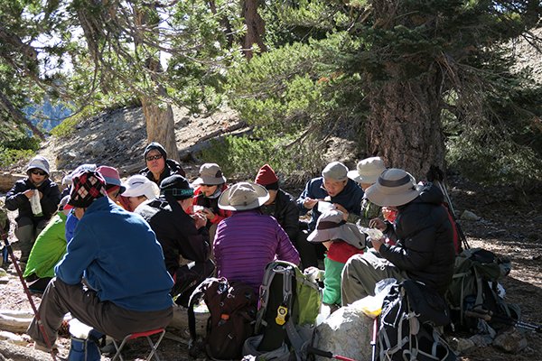 TimberCIMG_0054.jpg