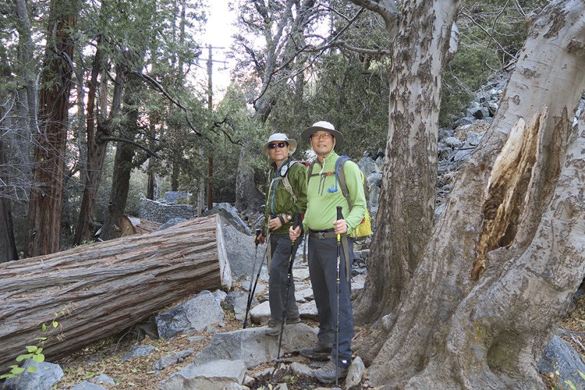 TimberCIMG_0066.jpg
